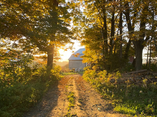 Farming as a Love Letter to Mother Nature