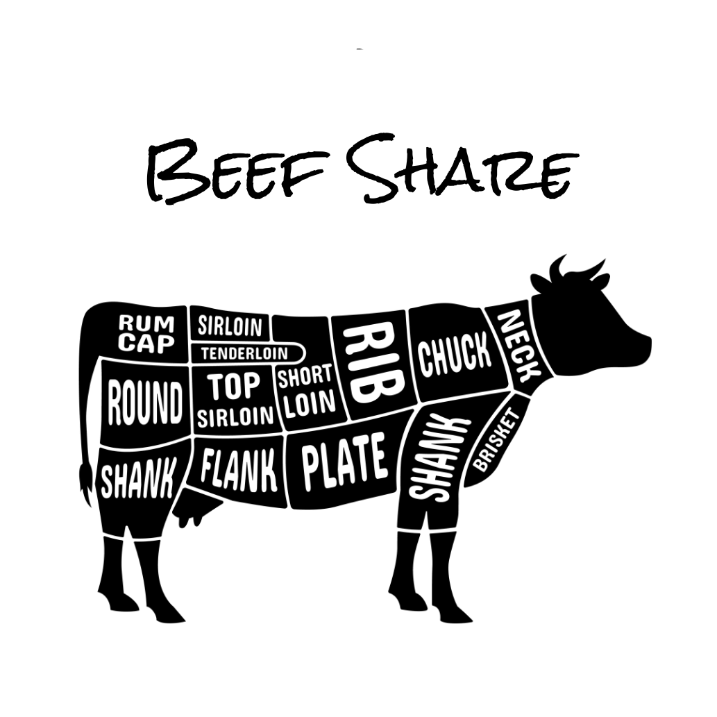 1/2 Beef Share Deposit
