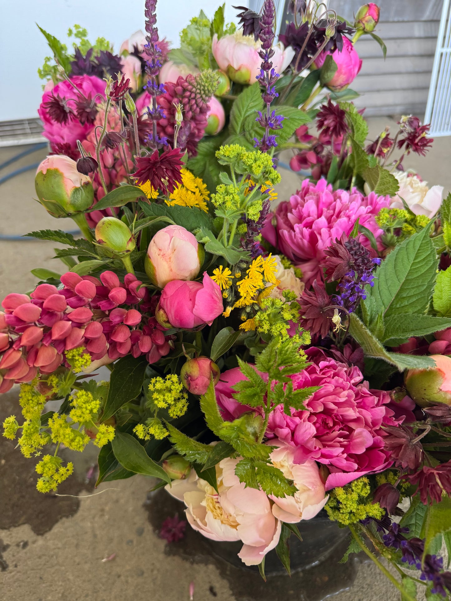 Wild Earth Peony Subscription