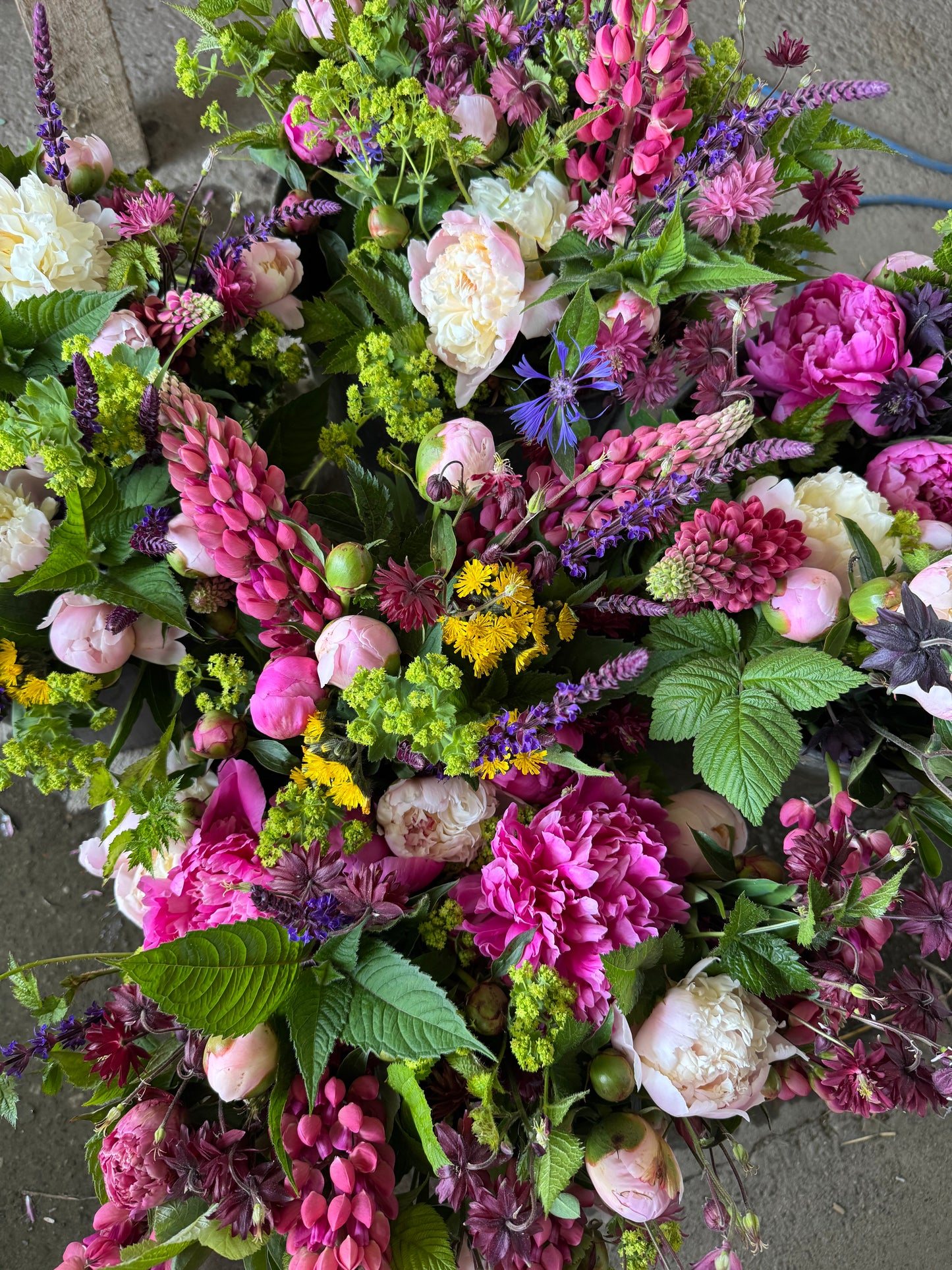 Wild Earth Peony Subscription